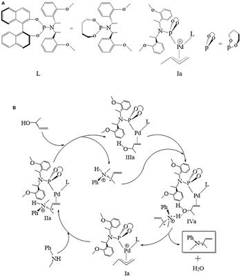 Exploring the Mechanism of the Palladium-Catalyzed 3-Butene-2-ol Amination Reaction: A DFT Study